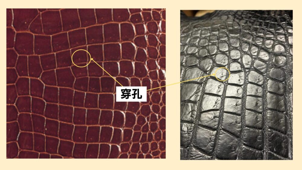 東京クロコダイルのワニ革は偽物？疑惑の真相を明らかにします 